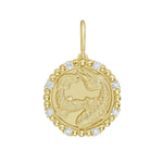 Gold Zodiac Charm