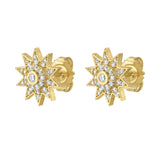 Lumière Star Post Back Earrings