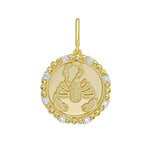Gold Zodiac Charm