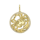 Seasons Cancer Interchangeable Zodiac Charm