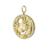 Seasons Cancer Interchangeable Zodiac Charm