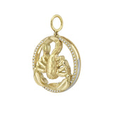 Seasons Scorpio Interchangeable Zodiac Charm