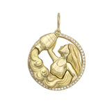 Seasons Aquarius Interchangeable Zodiac Charm