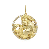 Seasons Capricorn Interchangeable Zodiac Charm