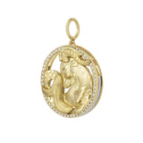 Seasons Capricorn Interchangeable Zodiac Charm