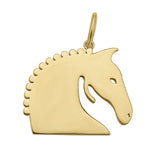 13 Hands Equine x Lionheart Legacy Charm