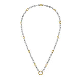 Silver and Gold Oval Link Chain