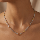 Silver and Gold Oval Link Chain